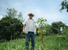 Fazenda em MG alcança 99,7% de sobrevivência em reflorestamento