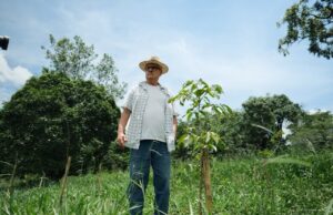 Fazenda em MG alcança 99,7% de sobrevivência em reflorestamento
