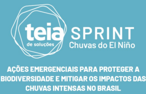 Fundação Grupo Boticário, BRDE e RegeneraRS destinam até R$ 4,2 milhões para ações de prevenção e mitigação de riscos causados por chuvas do El Niño