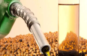 Governo veta importação de biodiesel para mistura obrigatória ao diesel e reforça confiança na produção nacional