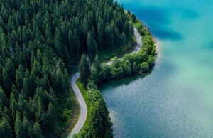 Multinacional finlandesa associa estratégia climática ao crescimento e amplia foco em soluções de baixo carbono