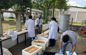 Instituto cearense lidera projeto de R$ 1,4 milhão para transformar resíduos orgânicos em biometano