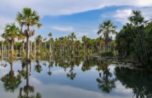 Edital destina R$ 410 mil a projetos de conservação da água e da biodiversidade em oito estados