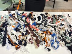 Voluntariado transforma camisetas usadas em brinquedos para 85 cães de ONG