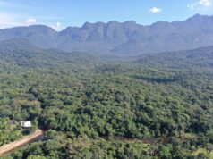 Reservas Particulares fortalecem a conservação da Mata Atlântica no Lagamar Paranaense