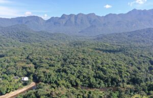 Reservas Particulares fortalecem a conservação da Mata Atlântica no Lagamar Paranaense