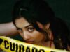 Defensoria de SP lança relatório para ampliar atendimento a mulheres em situação de violência doméstica