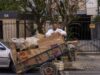 Programa internacional expande para América Latina projeto para melhorar condições de catadores de recicláveis no Brasil