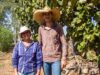 Assistência técnica ajuda pequenos pecuaristas a melhorar produção e renda em Mato Grosso