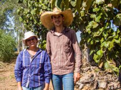Assistência técnica ajuda pequenos pecuaristas a melhorar produção e renda em Mato Grosso