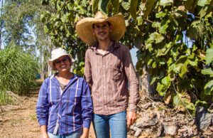 Assistência técnica ajuda pequenos pecuaristas a melhorar produção e renda em Mato Grosso