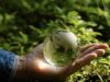 Brasil pode conciliar conservação ambiental e progresso econômico, afirma CNI