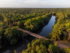 Sistema próprio de monitoramento climático e de focos de calor protege áreas produtivas e 445 agricultores familiares no Pará